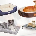 Best Portable Dog Bed to Have in Review 2018