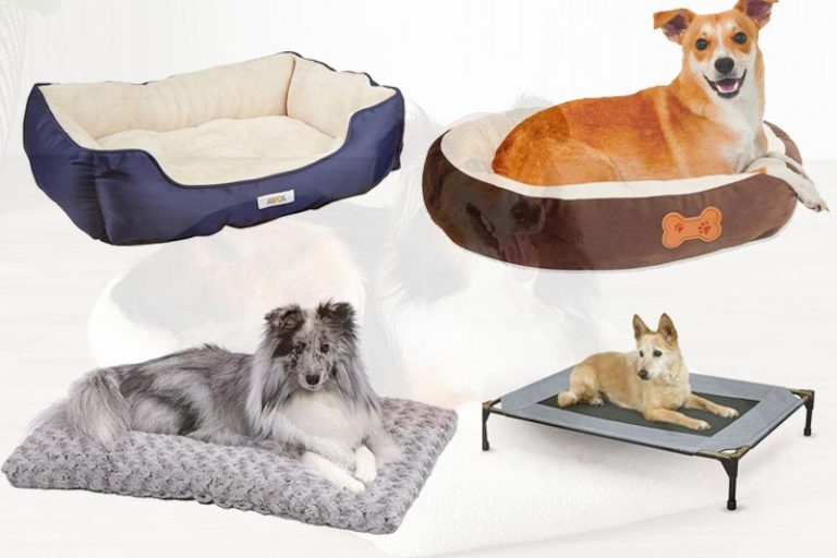 Best Portable Dog Bed to Have in Review 2018